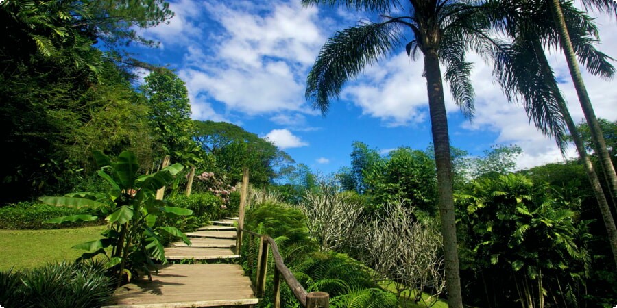 Vacation in Nadi, Fiji