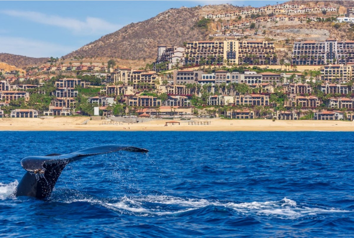 Cabo San Lucas