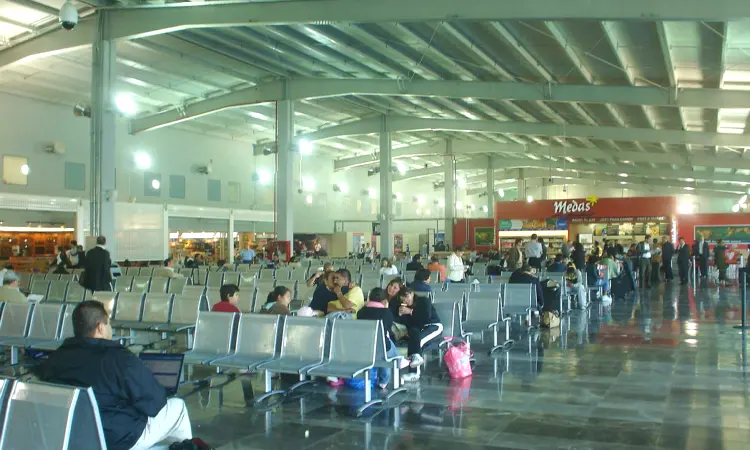 General Juan N. Álvarez International Airport