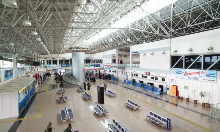Luchthaven Erzurum