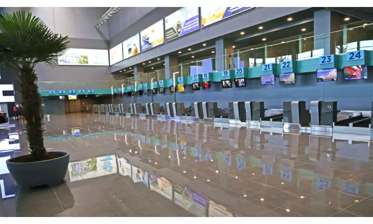 Διεθνές Αεροδρόμιο της Οδησσού